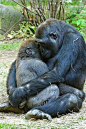 What A Sweet And Precious Moment! | Cutest Paw