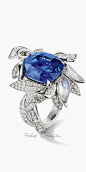 Rosamaria G Frangini | High Deep Blue Jewellery | Regilla ⚜ Chaumet