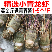 海带~~~采集到自然