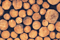 Wood pile, log pile, log, pile and wood HD photo by Sven Scheuermeier (@sveninho) on Unsplash : Download this photo by Sven Scheuermeier (@sveninho)