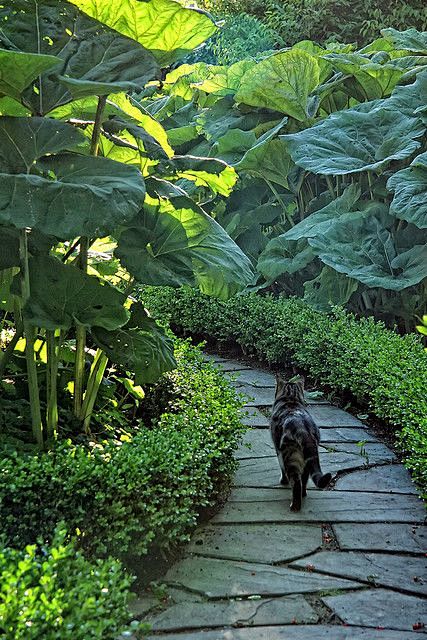 garden path