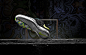 Nike_FC247_GATO_BTY_v2.jpg (1000×634)