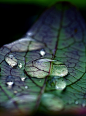 water drops | Amazing ✈ World