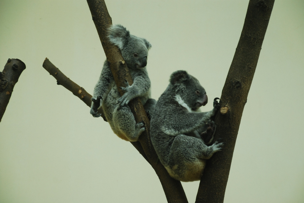 da98c83a0668bc0a9f49da8df4b2e85e7a9a9dc4484d7-VgnB7p