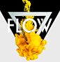 Flow campaign : Identity / branding, community building and campaigning for house music movement FLOW.