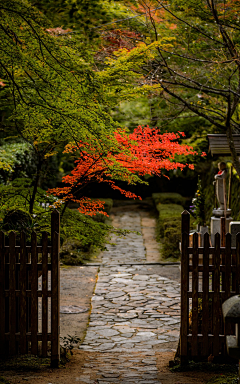 momokoo采集到【景观设计】/禅意/日式