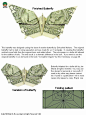 美元折纸蝴蝶教程 一款图案精妙的纸折蝴蝶