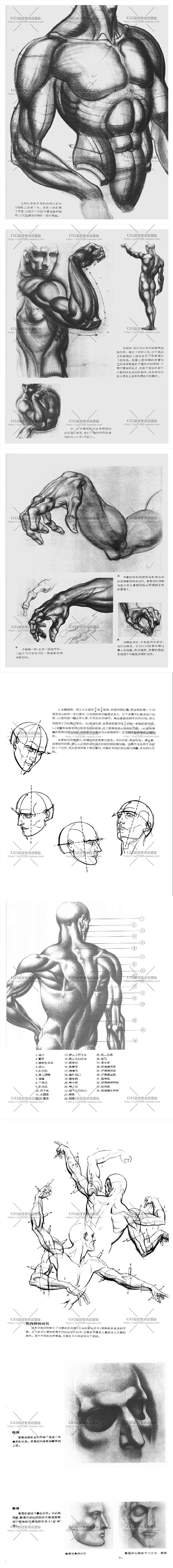 动态素描·着衣人体/人体结构/人体解剖/...