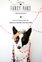 adorable photo + a great charity | fancy paws // birds of a feather + smitten studio