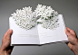 Calendar – Pop-up Poem Book : This 3D poem-book created by pop-up technique was inspired by the twentieth-century Hungarian poet Miklós Radnóti’s lyrical cycle titled Calendar. The spatial compositions in the twelve spreads are linked to the main theme –