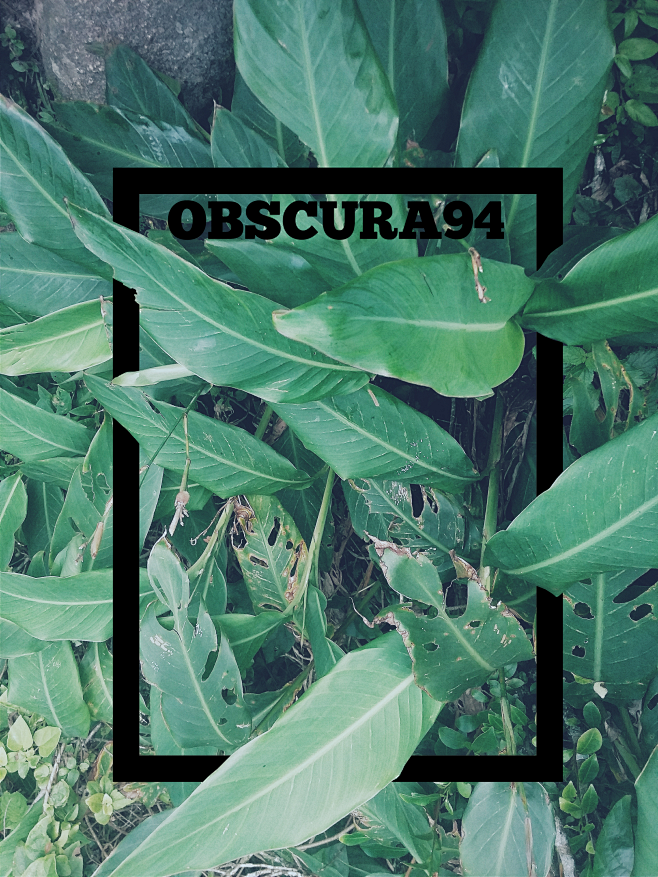 OBSCURA project II