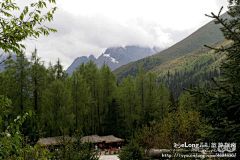 Yunlit采集到四姑娘山_激情川西之旅