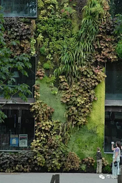 Ericxx采集到Green Building丨绿建筑