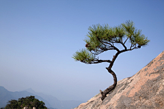 ™旅遊點滴╮采集到AA10.安徽 - 安庆 - 明堂山