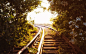 #railways, #flowers, #Old | Wallpaper No. 74714 - wallhaven.cc