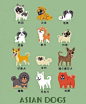 
   不同品种的狗狗插画 

      美国插画师  Lili Chin ​​​​