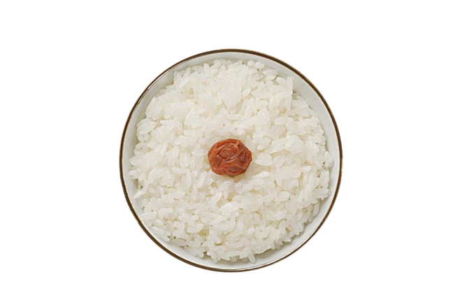 米饭-02