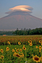 富士山与伞云，山梨县，日本