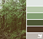 woodsy hues