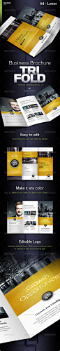 Trifold Brochure Vol. 4 - Corporate Brochures