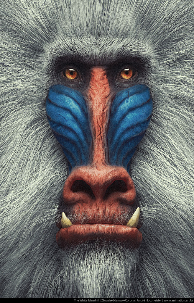 The White Mandrill |...