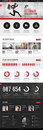 Infographer - Multi-Purpose Infographic Theme http://themeforest.net/item/infographer-multipurpose-infographic-theme/5027304?ref=wpaw #web #design #wordpress