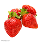 草莓水果温室种植盆栽