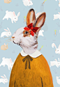 Miss Rabbit.: 