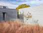 2016 asla Chilmark_6
△ 原生的野草，少量须芒草以及金缕梅沿着建筑立面生长，在进一步降低建筑本就低矮的体量的同时，为立面增添了活力。