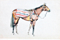 E Q U E S T R I A N : Casual equestrian drawing