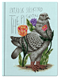 FOUR BOOK COVERS : Series of illustrations for covers of four books that are somehow visually based on different animals - The Pigeon by Patrick Süskind, Watership Down by Richard Adams, Black Beauty by Anna Sewell, and On the Origin of the Species by Cha