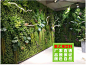 绿植墙仿真植物墙装饰客厅室内迎宾背景花墙塑料假草坪植物墙配花-淘宝网