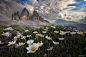 Tre cime di Lavaredo 