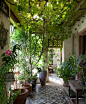 Gorgeous attached greenhouse. From The Irish Country House by The Knight of Glin & James Peill: 