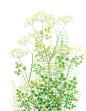 手绘鲜花绿植树叶免抠__PNG：