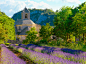 建筑,环境,自然,旅游目的地,户外_84482869_Lavender in-front of Abbey de Senanque_创意图片_Getty Images China