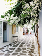 Paros island, Greece。帕罗斯岛在爱琴海的众多岛屿中，是一个以休闲开放而著称的岛屿。岛上有洁白晶莹的大理石，品位很高。大家所熟悉的“米罗的维纳斯”雕像就是用这里的大理石做成（现收藏于巴黎卢浮宫）。岛上有一个小镇，也是港口所在的地方。整个小镇只有一条主要的商业街，从中心延伸到港口，在小镇里面，游客可以选择租赁一辆小摩托车或者自行车就可以将线路游完，悠悠转转，乐趣无穷。或是在海边游泳滑板，都是不错的选择。
