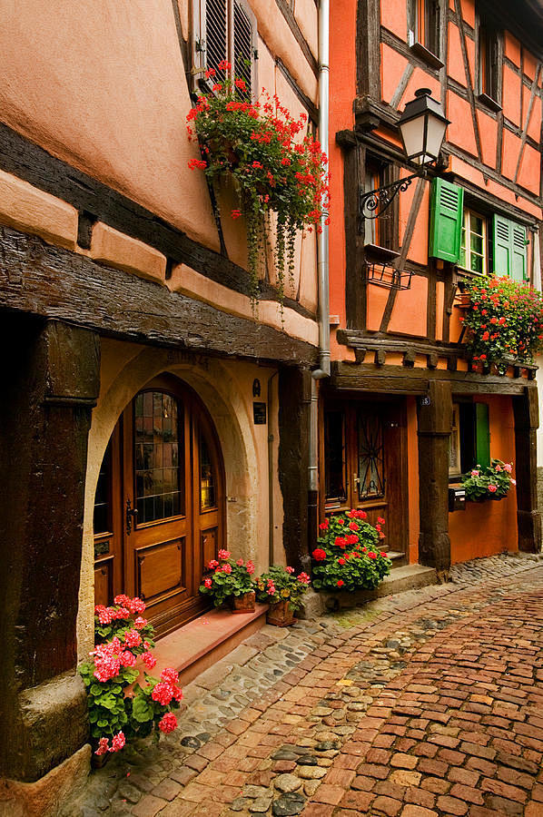 法國阿爾薩斯Alsace鵝卵石步道 
