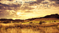 dusk fields landscapes nature sunset wallpaper (#3029722) / Wallbase.cc