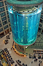 德国柏林的Radisson Blu酒店拥有全世界最大的圆柱形水族箱，在这里留宿的旅客可以在酒店、走廊甚至房间里就可以看到一百万升的鱼缸和1500多条热带鱼。可惜不能潜水