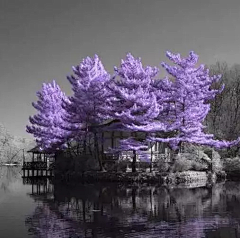 莔冲鱼采集到E自然——风景