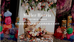 脏脏志采集到Miller Harris