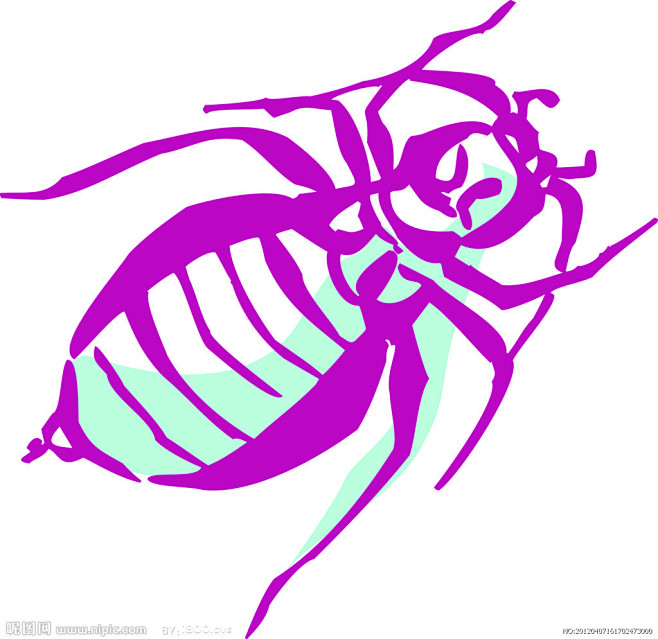 甲虫设计图
