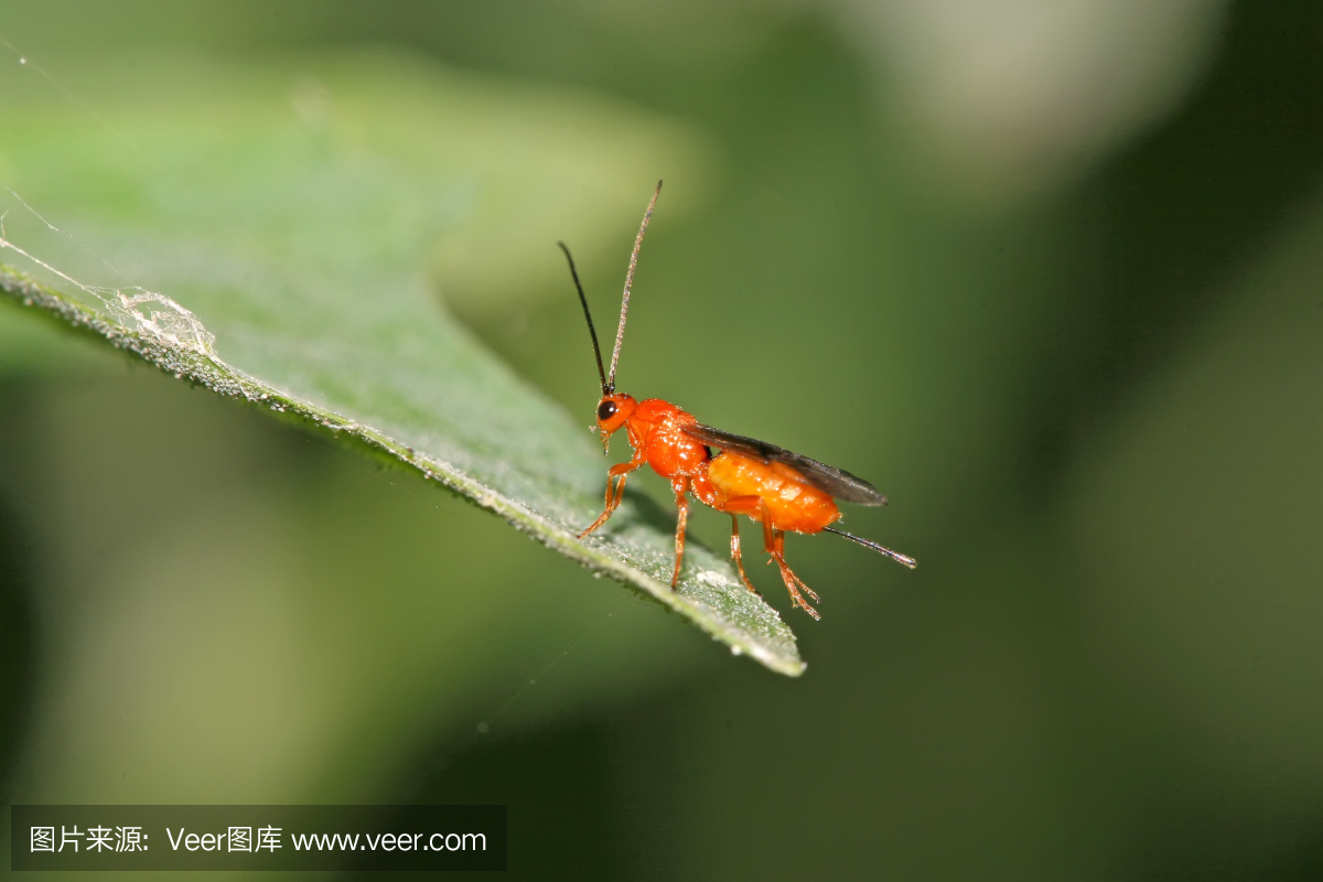 dbc78ae5e0254f7be711aeda799dff8011ac98634bd42-Jp5pT7