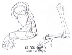 骸天岚采集到绘画