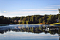 Reflection Of Trees In Calm Lake