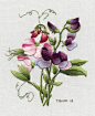 DIGITAL DOWNLOAD Redoute's Sweet Peas by TRISHBURREMBROIDERY#布艺# #DIY##刺绣#