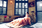 Asian, Bride, Brunette, Dress, Flowers, Girl, Model, People, Photography, Sitting, Wedding Dress, Woman, Women wallpaper preview