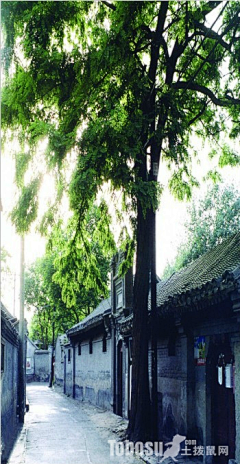 小将GIGGS采集到四合院