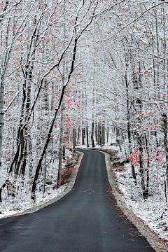 为什么不让我豋采集到那白色的雪啊